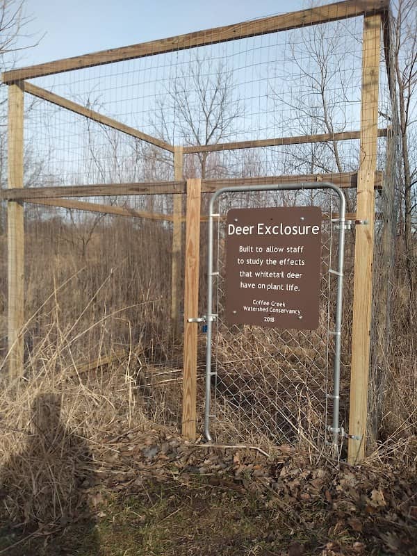 Deer Exclosure - Image 1