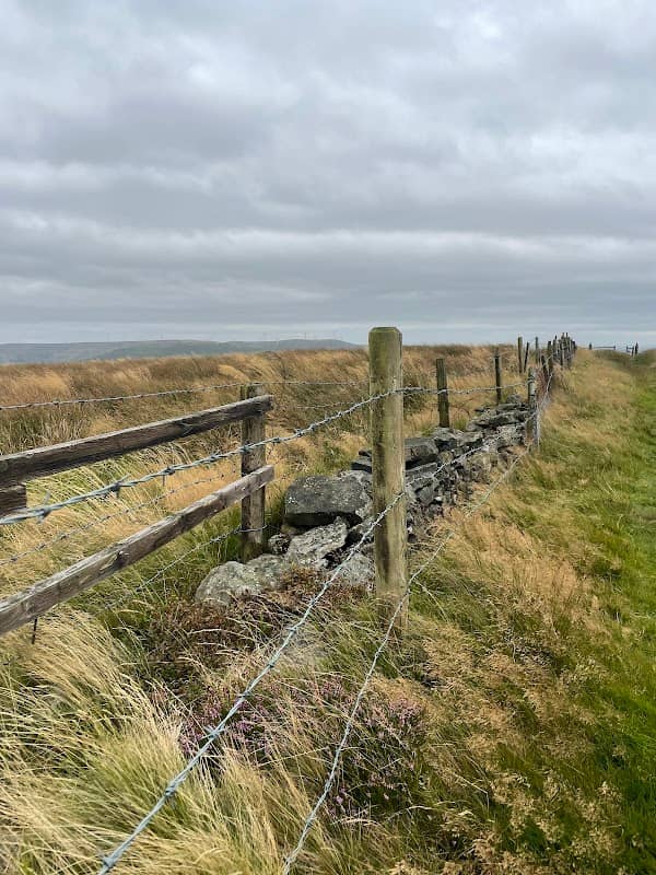 Cribden Hill - Image 2