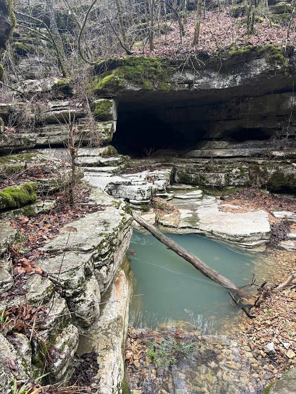 Hell Creek Natural Area - Image 2