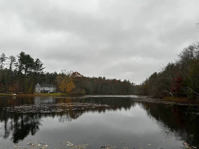 Skeeter Mill Pond - Image 2