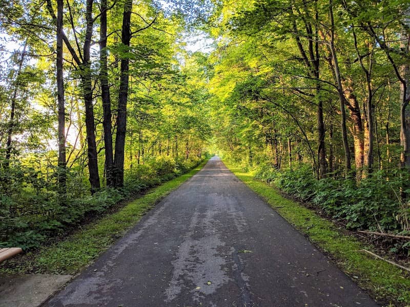 Slippery Elm Trail: Rudolph Savanna - Image 1