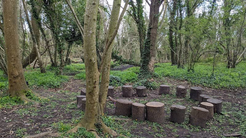 Steventon Copse - Image 1