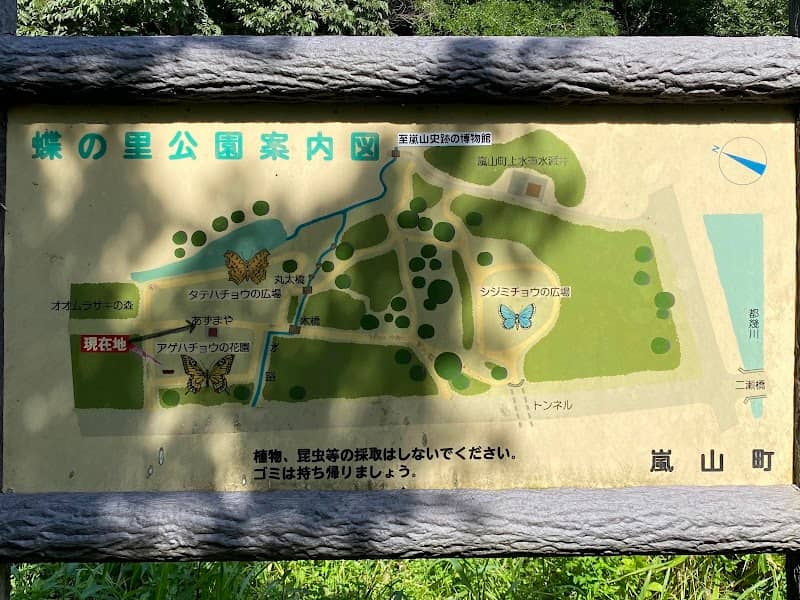 Ranzan Oomurasaki Butterfly Forest - Image 1