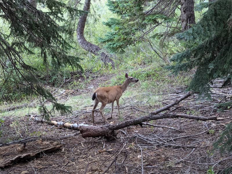 Long Canyon Trailhead - Image 2