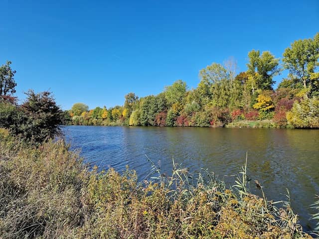 Saarwiesen in Wadgassen - Image 1