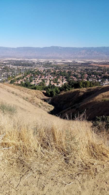 Loma Linda Large Dog Park - Image 2