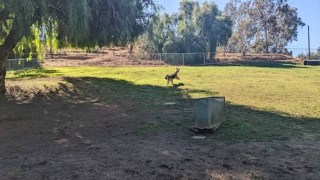 Loma Linda Large Dog Park - Image 1