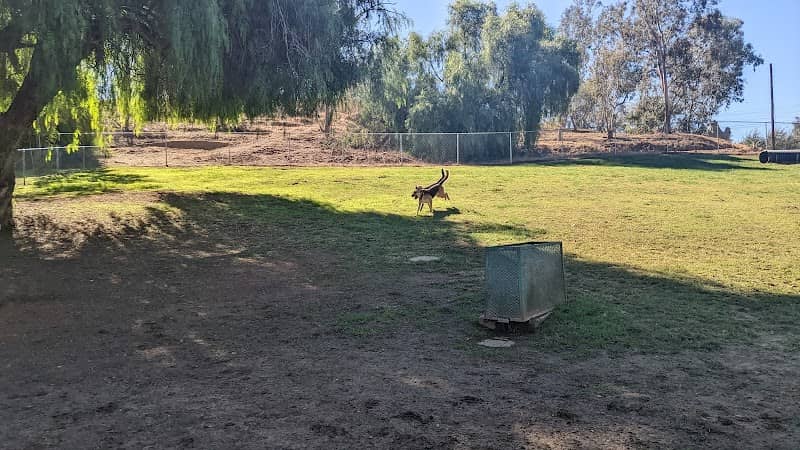 Loma Linda Large Dog Park - Image 1