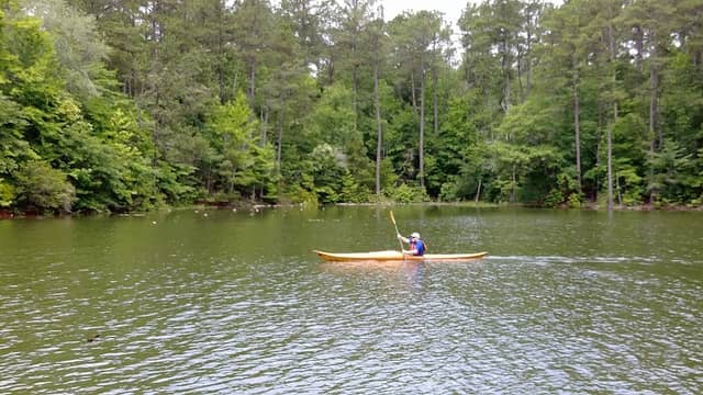 Yellowjacket Creek Recreation Area - Image 1