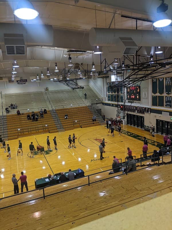 Forest Park Basketball - Image 1