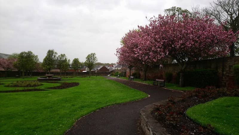 Springfield Park Rose Garden - Image 1