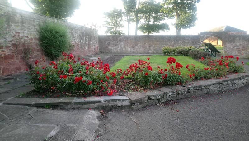 Springfield Park Rose Garden - Image 3