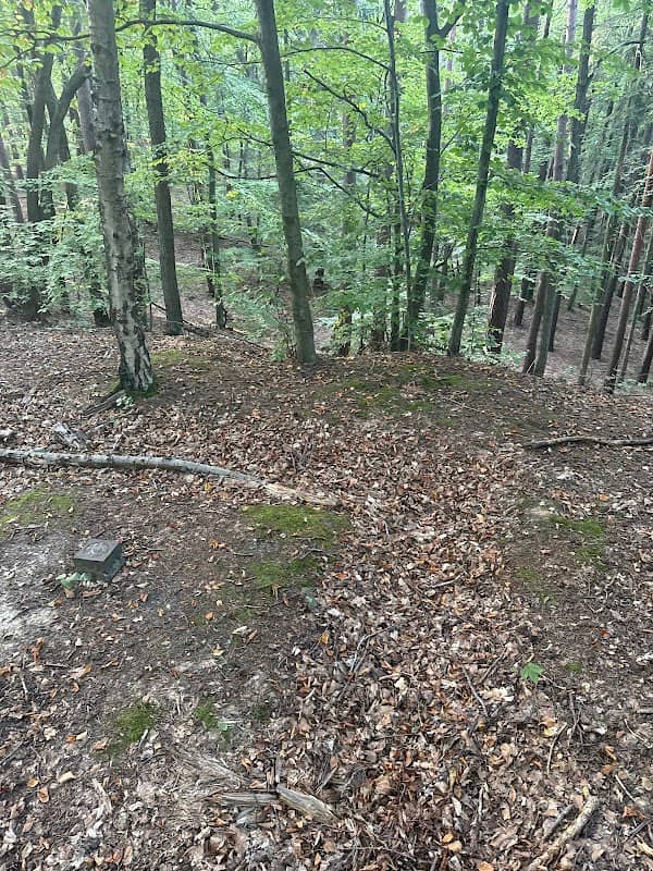 Spadzista Góra - Image 1