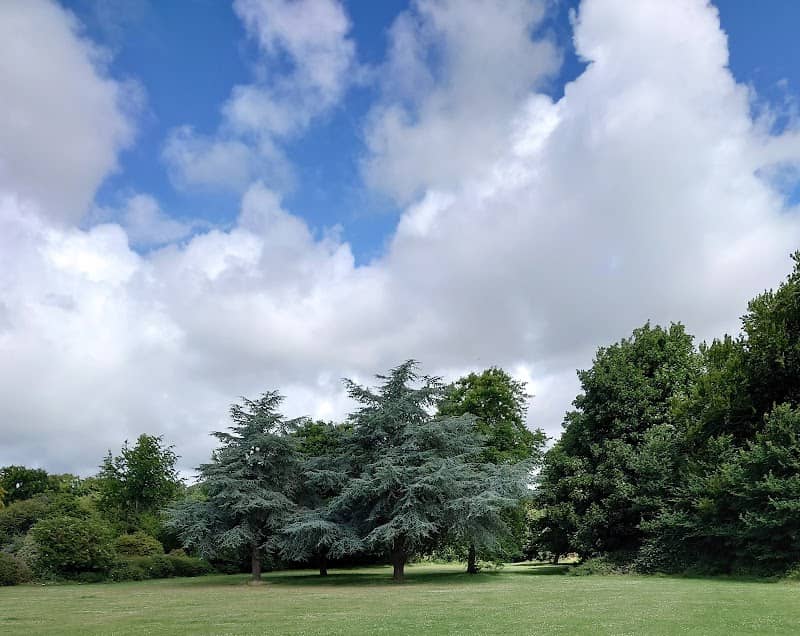 Charmandean Recreation Ground - Image 1