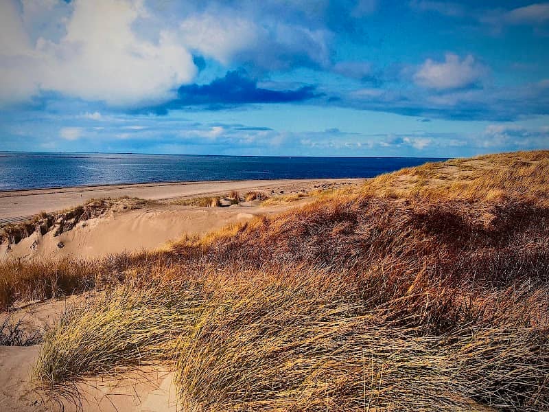 Point with a view in Voornse Dune - Image 2