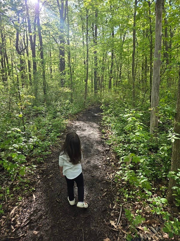 McCalvy Tabor Woods Parcel - Image 2