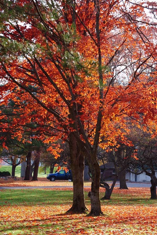 Denison Park - Image 1
