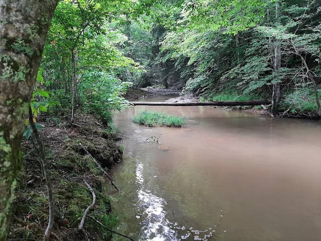 Bandy Streams - Image 2