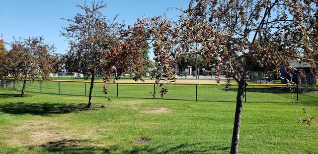Vietnam Veterans Memorial Park - Image 2