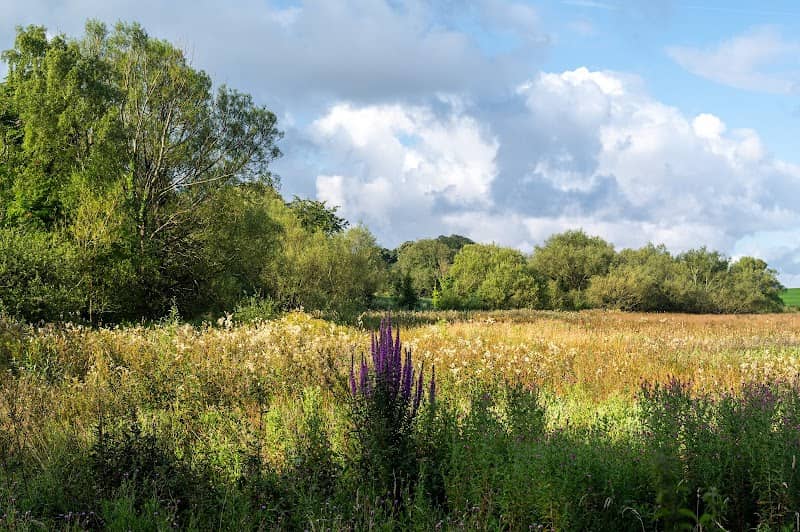 Fairfield Nature Reserve - Image 2