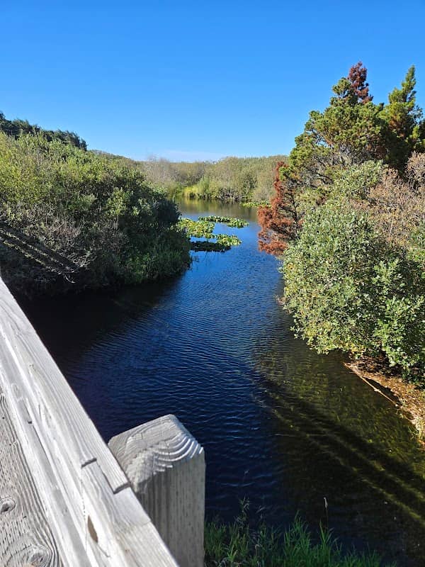 Bandon Marsh National Wildlife Refuge - Boardwalk Trail - Image 1
