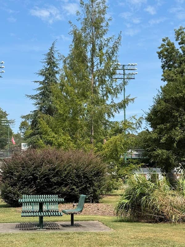 Carpet City Rotary Park - Image 2