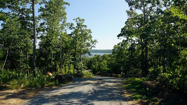 Carlton Landing Nature Trails - Image 3