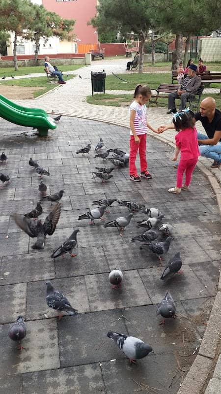 Love Park - Image 2