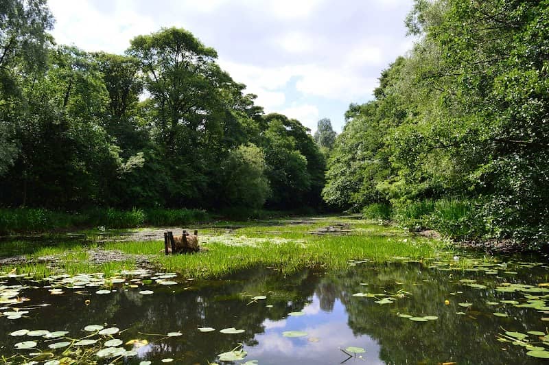 Brun Valley Forest Park - Image 2