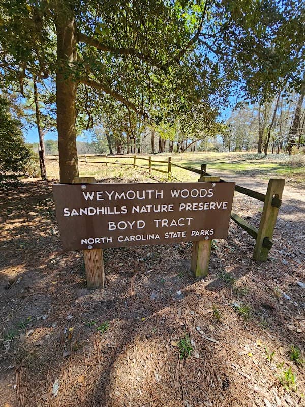 Weymouth Woods - Sandhills Nature Preserve - Image 3