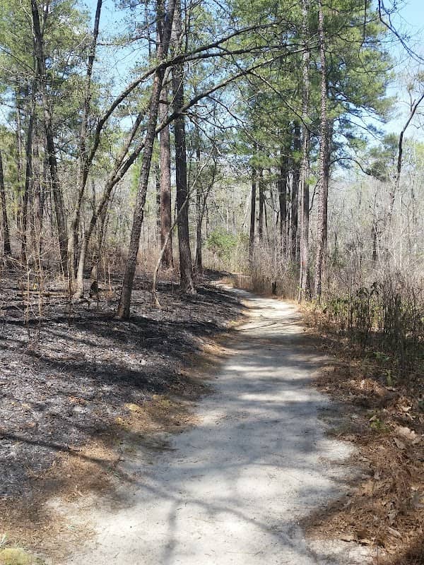 Weymouth Woods - Sandhills Nature Preserve - Image 2