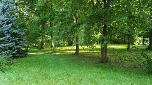 Judicial Park - Image 3