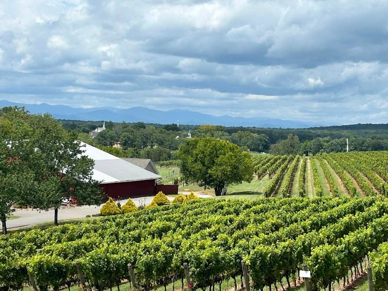 Barboursville Vineyards - Image 3