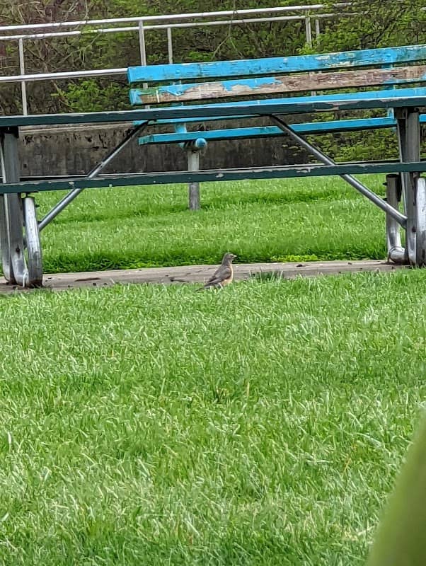 Twin Creek Park - Image 2