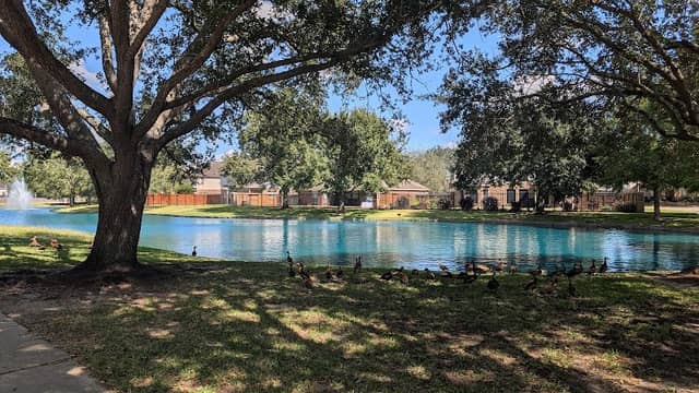 Brittany Lakes Park and Pool - Image 1