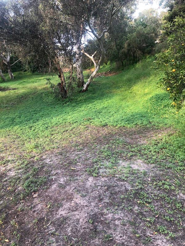 Dryandra Park - Image 1
