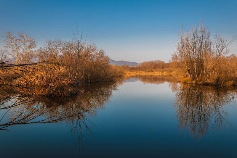 Punto Di Osservazione Palude Brabbia - Image 1