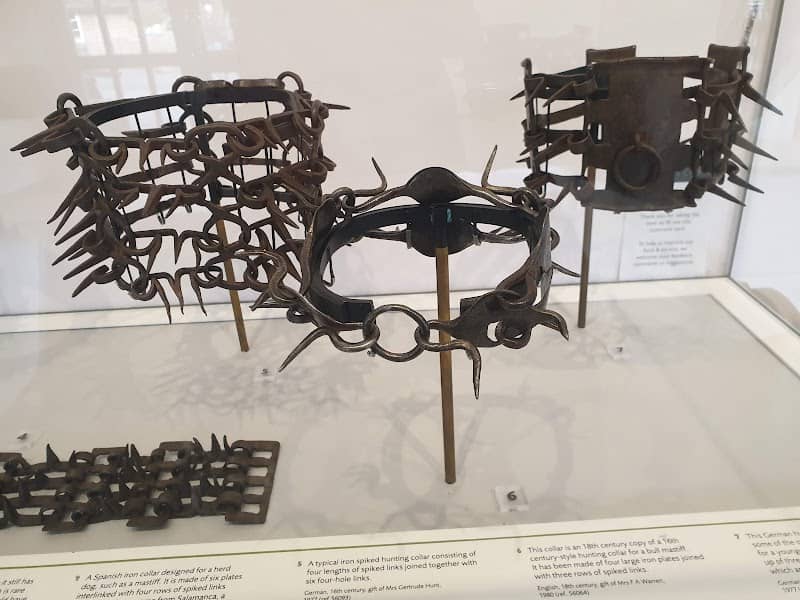 The Dog Collar Museum - Image 1