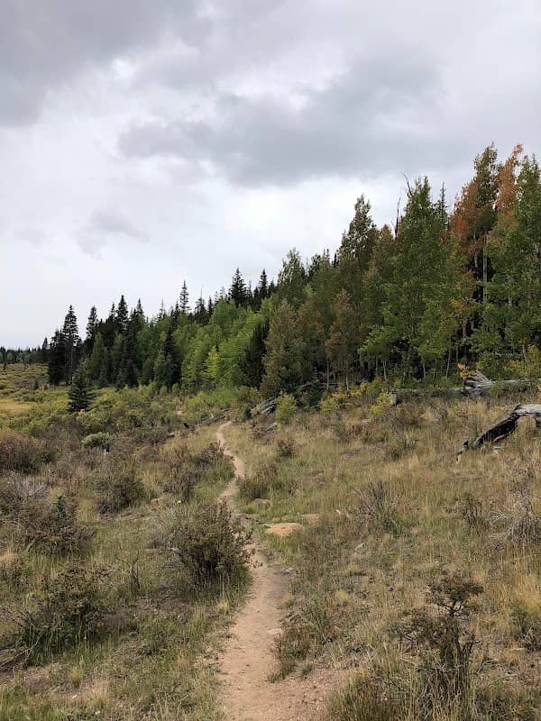 Long Gulch Trailhead - Image 1