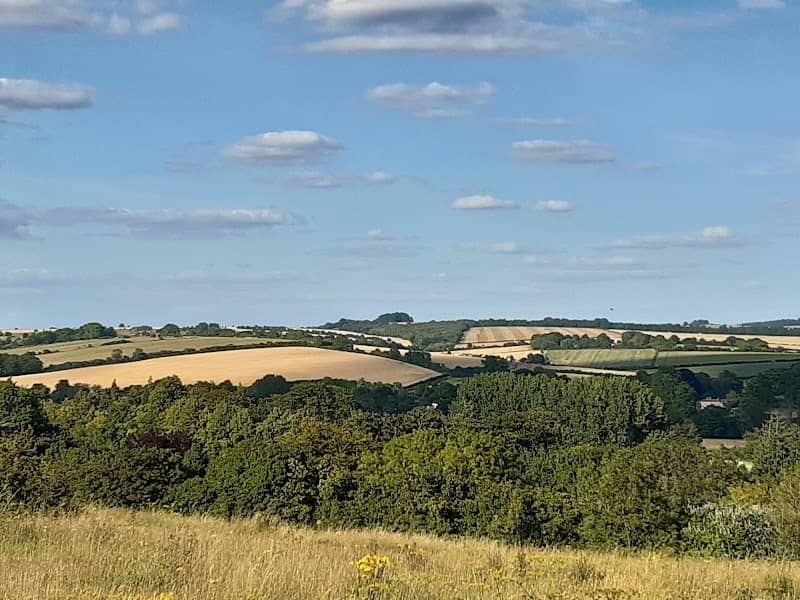 Shawford Down - Image 1