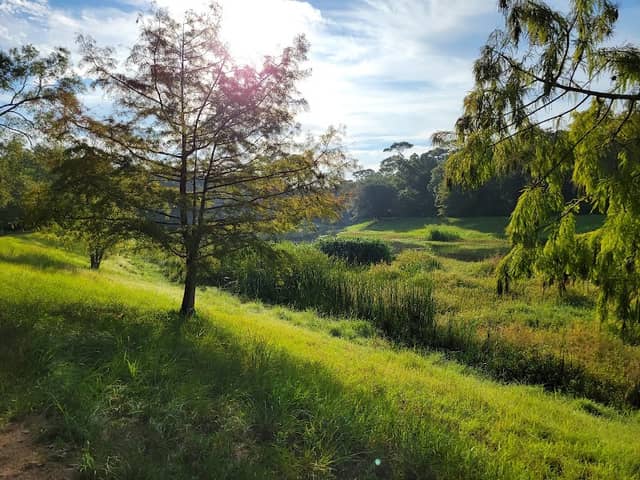 Brookwood Park - Image 1