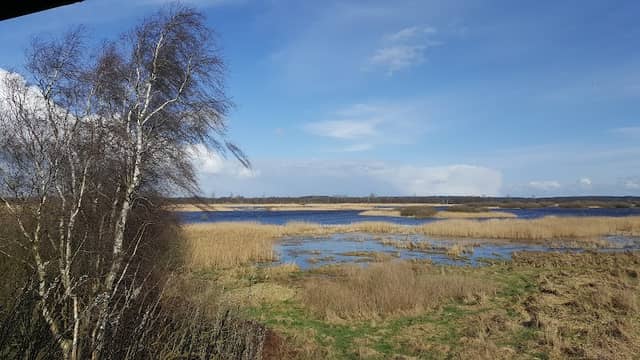 Polder Bramel - Image 1