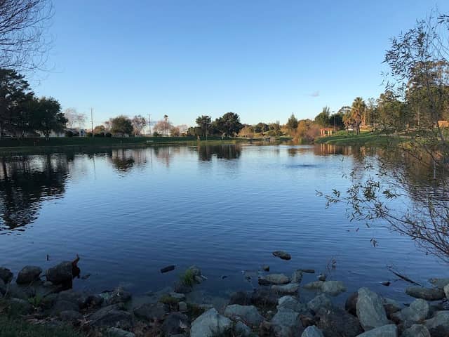 Duck Pond - Image 3