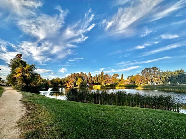 Duck Pond - Image 1