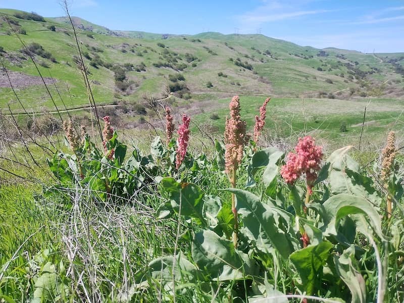 Ranger Ridge Trail - Image 2