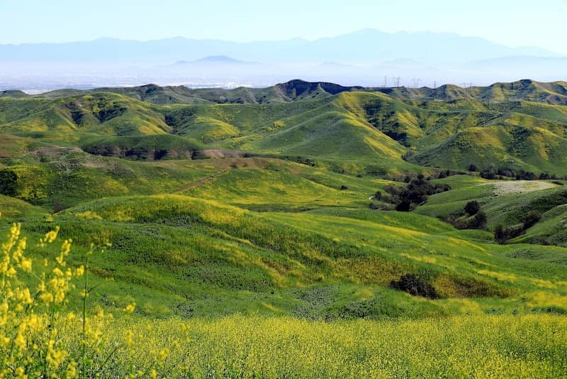 Ranger Ridge Trail - Image 3
