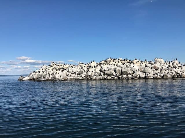 Mille Lacs National Wildlife Refuge - Hennepin Island - Image 1