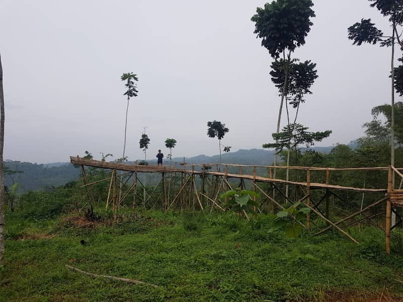 WISATA BUKIT KISINUK CILOGANTI - Image 1