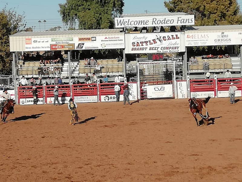 Cattle Call Arena - Image 1
