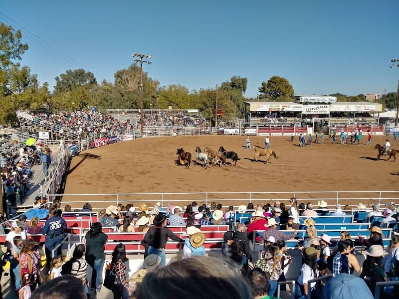 Cattle Call Arena - Image 2